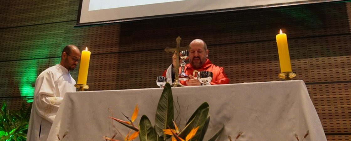 photo_4954025041570411116_y